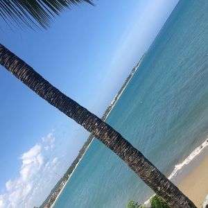 Meet your Posher, Tayler